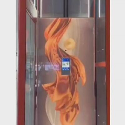 Нержавеющая сталь Малый жилой лифт 400 кг Малые лифты для домов