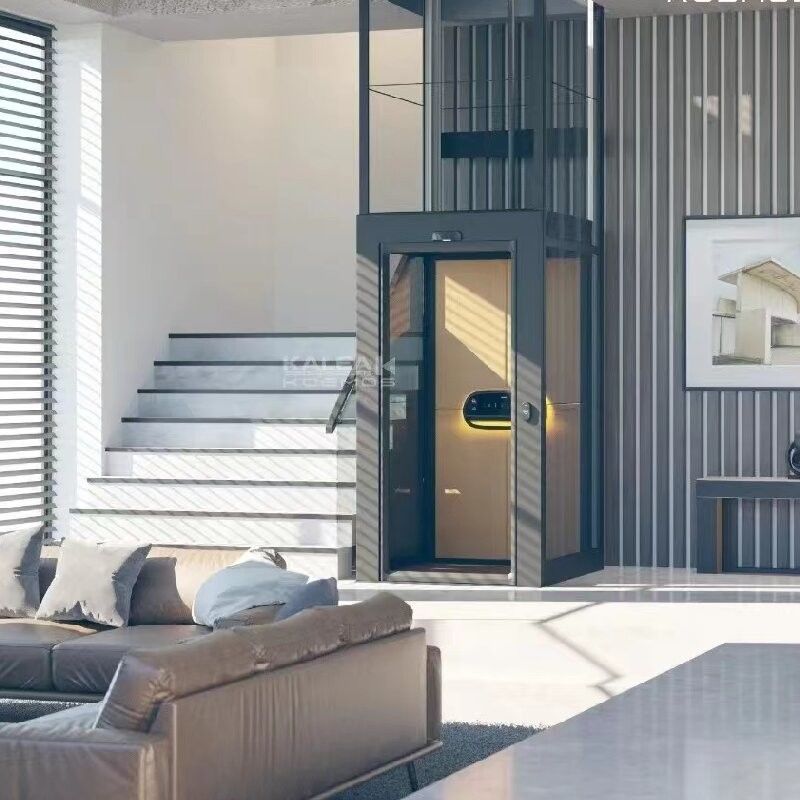 Внутренний винтовой дом лифт 500 кг Малые лифты для домов